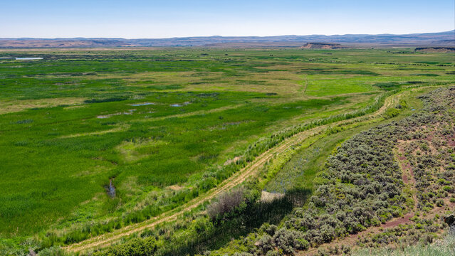 Panorama of the trail traversing the edge of the marsh from the Buena Vista Butte near Diamond, Oregon, USA