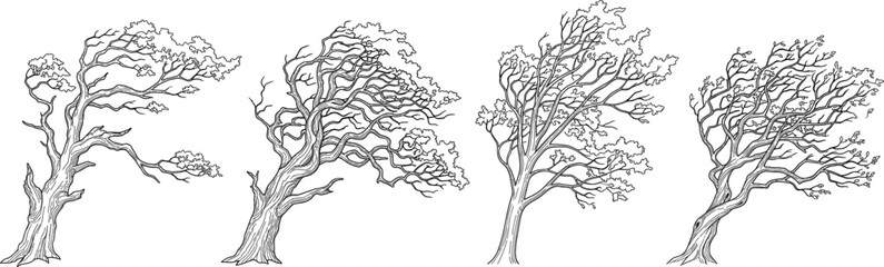 Fototapeta premium Hand drawn line art illustration set of trees bending in strong wind and storm