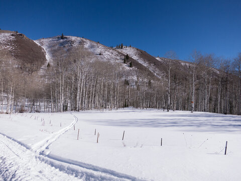 Wasatch Mountain range covered in fresh snow, sparkles in the sunshine.  Snowmobile and ski tracks in the snow.  Sundance Mountain, Sundance, UT.