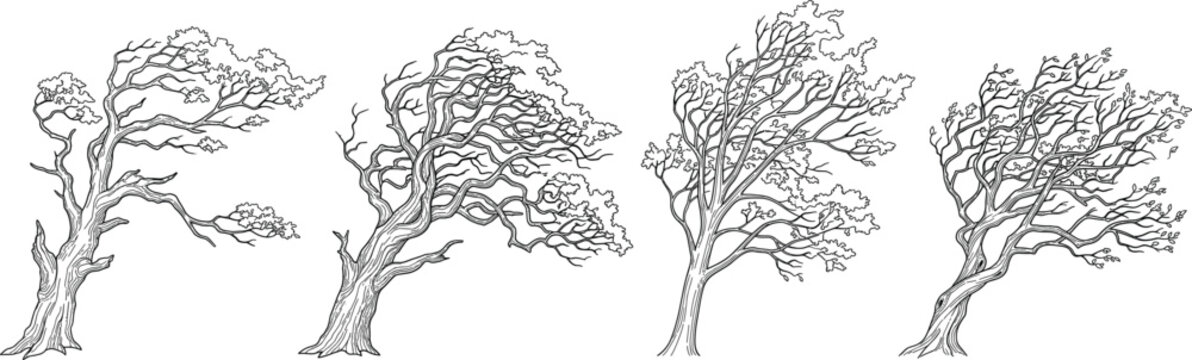 Hand drawn line art illustration set of trees bending in strong wind and storm