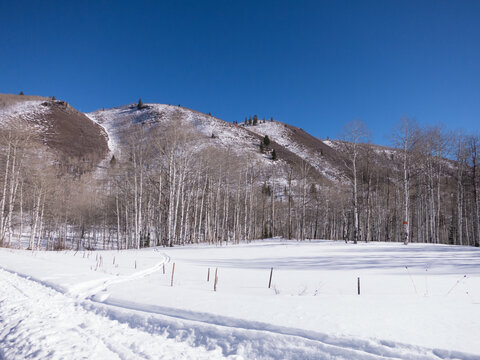 Sundance Mountain, Wasatch Mountain range, covered in fresh snow with cross country skiing and snowmobile tracks along the fence line.  Blue, cloudless winter day.  Sundance, Utah.
