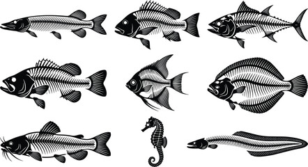 Detailed Fish Skeleton Silhouette Collection Featuring Various Marine Species and Seahorse Illustration © Chandra 