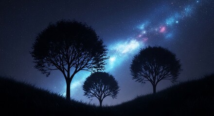 Silhouetted trees night sky