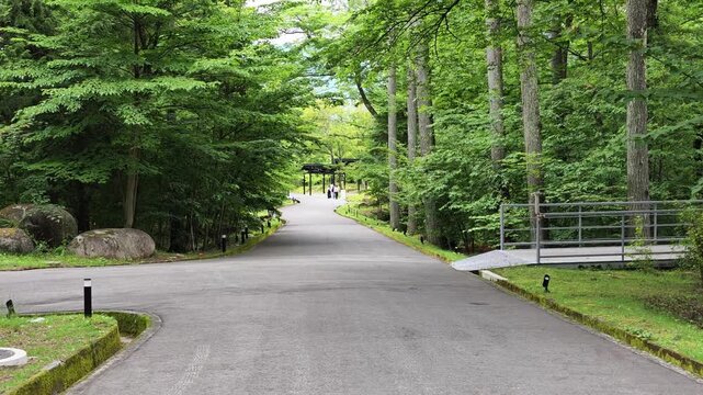 Lush green trees flank a quiet asphalt path. Metal gate frames the entrance to this serene woodland. Distant figures stroll calmly, lost in nature's embrace. Peaceful atmosphere invites calm moments