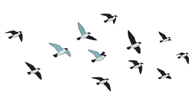 A flock of birds in flight illustrated with a minimalist graphic style