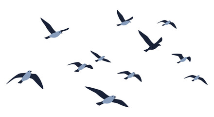 Fototapeta premium A flock of stylized birds in flight against a plain white background