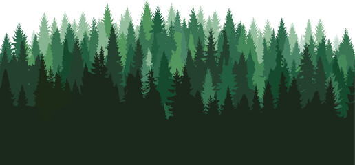 Silhouette Forest Landscape With Evergreen Trees  © Priyom