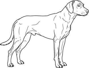 Fototapeta premium Line drawing illustration of a standing dog in profile view