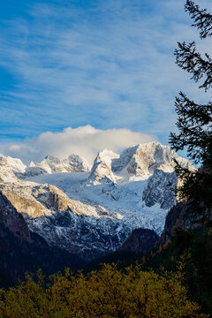 The colourful autumn scene of Austrian Alps with a view of the Dachstein mountain range covered by snow. Located in the Gosau Valley in Upper Austria. 