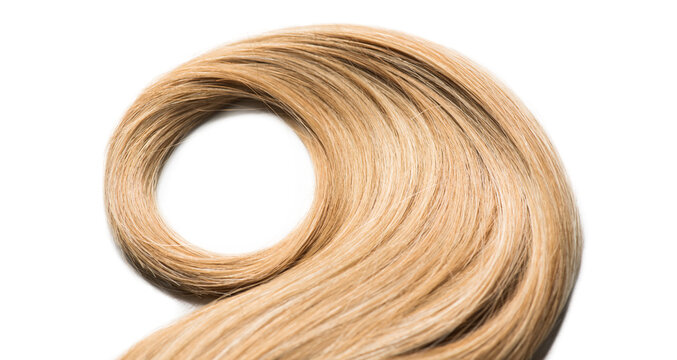Blond hair lock curls isolated on white background, healthy and beauty dyed hair sample design, hair salon, treatment, cure, dying concept. Close up