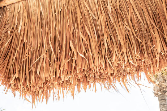 Dried palm leaves forming natural rustic thatch texture