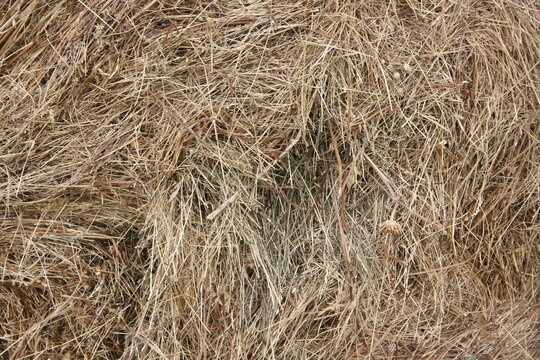 straw bale background
