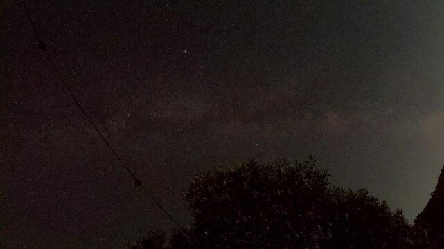 Mesmerizing night sky time-lapse showing the core of the Milky Way galaxy moving gracefully above dark silhouetted trees and quiet countryside terrain. 