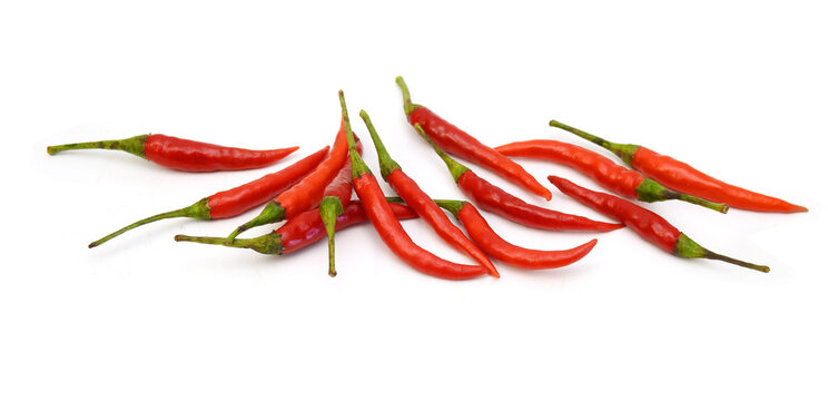  Stack red chili peppers and basil herb leaves  on the white