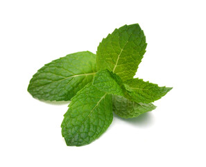 Fresh mint leaves isolated on white background. © ImagesMy