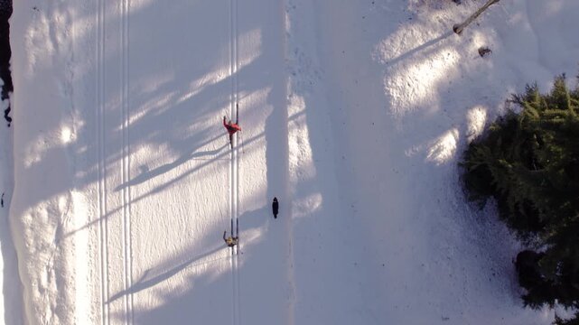 Happy retired couple cross country skiing with dog, winter sport, outdoors, whistler.