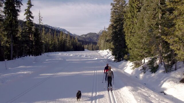 Happy retired couple cross country skiing with dog, winter sport, outdoors, whistler.