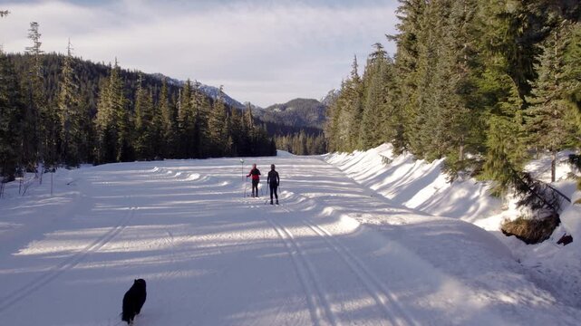 Happy retired couple cross country skiing with dog, winter sport, outdoors, whistler.