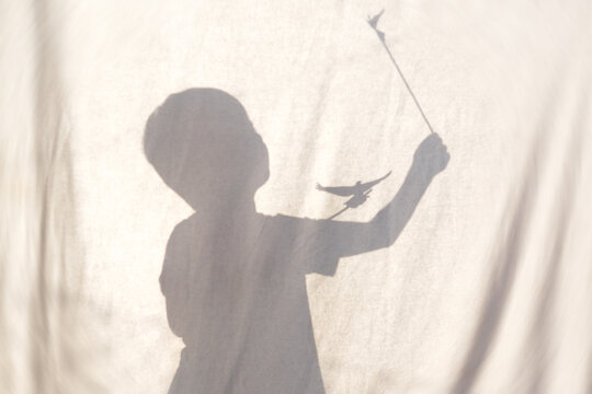Artistic shadow play of a young boy holding a stick with a bird toy behind a white sheet. Conceptual monochrome shot in warm tones capturing childhood imagination, dreaming, and innocence