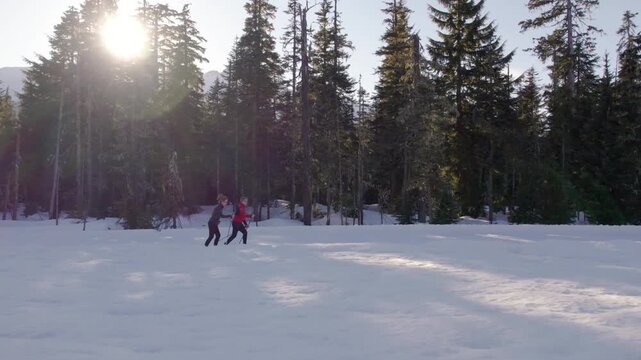 Happy retired couple cross country skiing with dog, winter sport, outdoors, whistler. PRORES