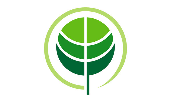 icon leaf vector logo