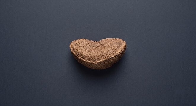 Single raw organic Brazil nut on dark background minimal food stock