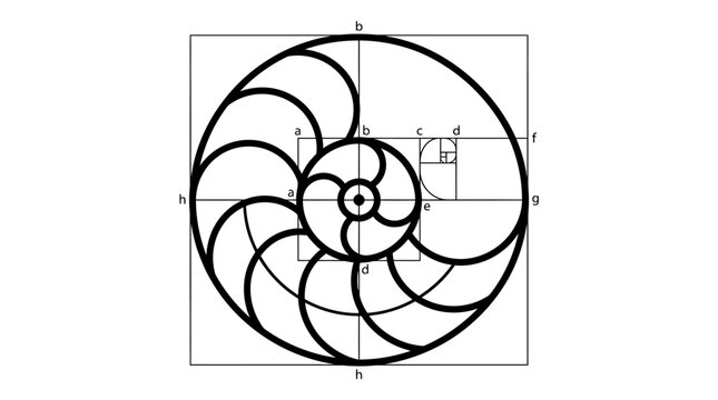Golden Ratio Nautilus Shell Diagram with Geometric Construction Lines and Labels