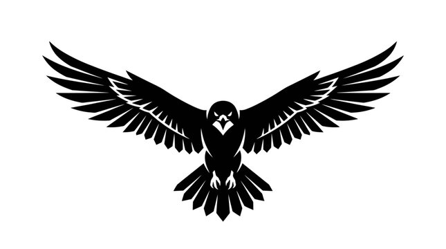 Silhouette of a powerful hawk in flight, wings spread wide, facing forward with intense eyes, isolated on a white background.