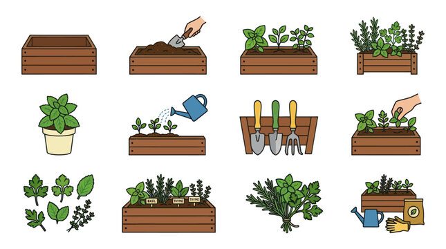 Gardening Process Sequence: Planting, Watering, Growing Herbs & Vegetables in Wooden Planters