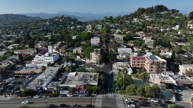 Palm framed aerial view of the historic Silver Lake neighborhood of Los Angeles, California, USA.