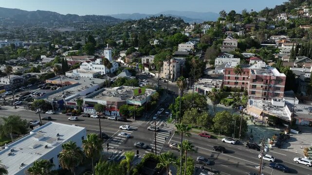 Palm framed aerial view of the historic Silver Lake neighborhood of Los Angeles, California, USA.