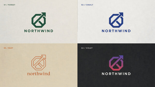 Four variations of the northwind with geometric arrow isolated on a transparent background