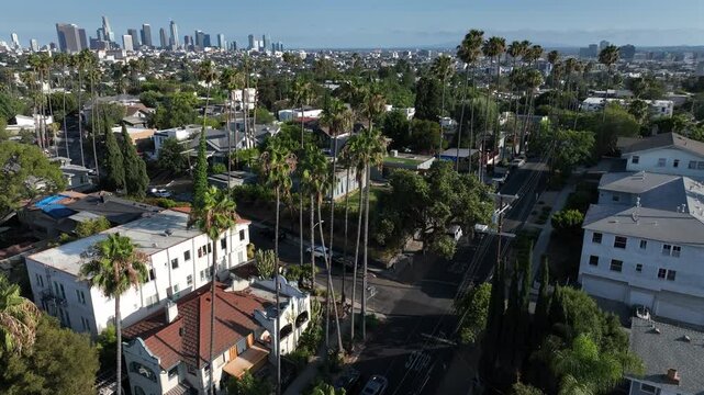 Los Angeles, California, USA - June 18, 2026: Palm trees of the Silver Lake neighborhood frame the downtown LA skyline.