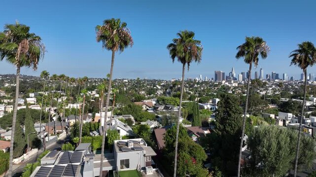 Los Angeles, California, USA - June 18, 2026: Palm trees of the Silver Lake neighborhood frame the downtown LA skyline.