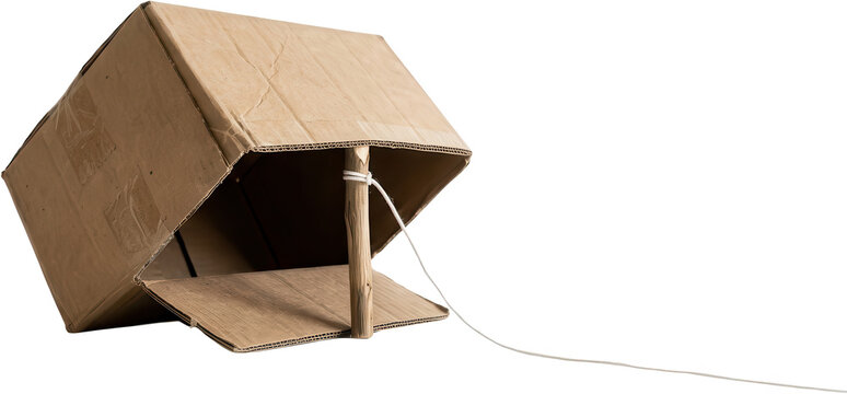 A simple homemade trap constructed from a cardboard box supported by a wooden stick and string ready for use diy animal pest control capture containment trigger mechanism