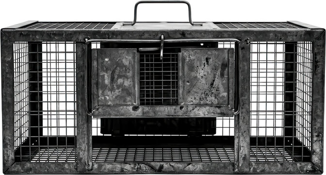 Detailed view of a weathered vintage metal animal trap cage with a carrying handle and dual entry doors showcasing grid patterns and rusty textures metal cage rodent trap