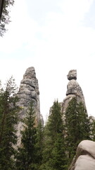 Zdjęcie przedstawia monumentalne formacje z piaskowca o charakterystycznych kształtach, przypominające ludzkie sylwetki. Strzeliste, szare wieże górują nad gęstym lasem iglastym pod jasnym niebem. © tomo81
