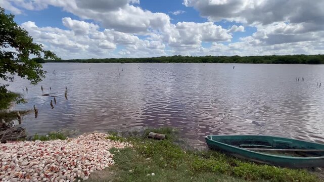 Horizontal wide shot of a scenic wetland with a pile of conch seashells and a small boat on the shore in Sisal, Yucatan, Mexico.