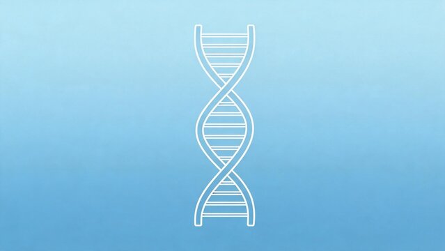 DNA double helix structure