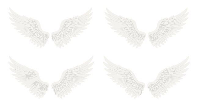 Four white angel wings with detailed feathers