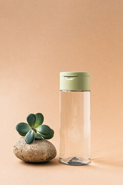Transparent bottle containing micellar water or toner, placed beside succulent plant on stone, emphasizing organic beauty and minimalist design