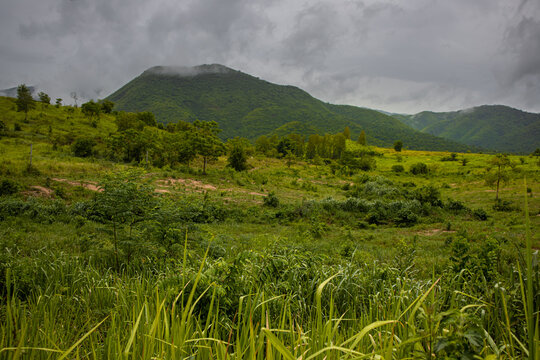Mountain grass cloud valley hill forest landscape meadow green mountain storm sky, lush green valley with misty peak cloudy sky, wild grass, forest, rolling hill, natural rural landscape after rain
