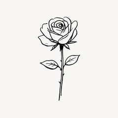 Obraz premium Elegant black rose line art