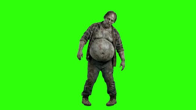 Full-body 3D animation of a bloated male zombie standing against a chroma key green background. Ideal for horror film compositing and keying.