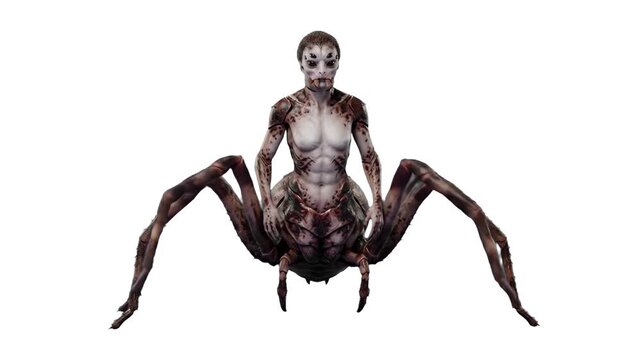 A detailed 3D model of a creepy human-spider hybrid creature standing against a clean white background. Designed for clean commercial layouts, game design assets, and horror VFX compositing.