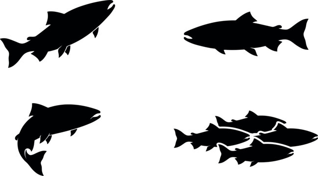 Salmon trout fish silhouette vector icon set collection swimming and jumping isolated on white background minimalist black shape design for seafood market fishing lodge banner