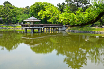 Fototapeta premium Ryugaike Pond Reflecting Ukimido Pavilion Surrounded by Fresh Greenery in Tsuruma Park, Nagoya, Japan.（鶴舞公園 浮見堂）5