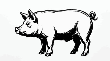 Fototapeta premium Hand Drawn Pig Vector Illustration