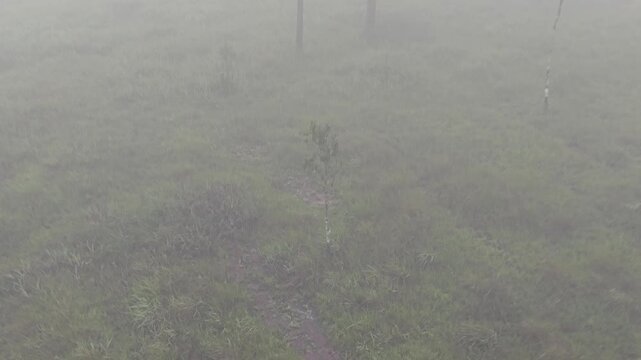 Top View the morning sun and the mist covered
