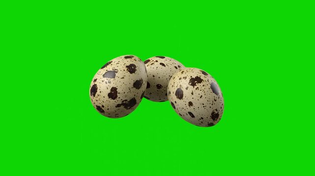 A detailed 3D render of three spotted raw quail eggs grouped together, isolated against a bright green screen background. Ideal for culinary video compositing, Easter promo clips, poultry farming grap